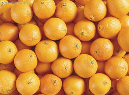 蔬果特寫0169 鏡頭下的自然饋贈，與色彩的味覺遐想